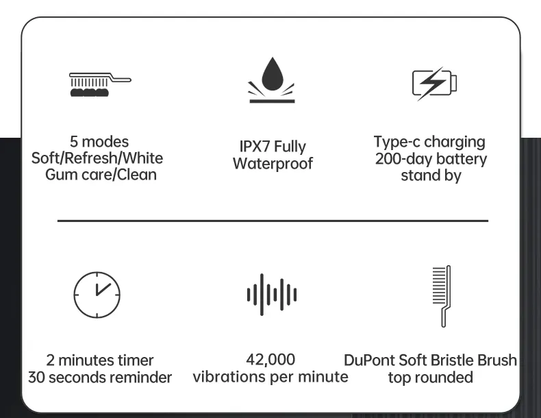 T6 electric toothbrush with 3 head brush